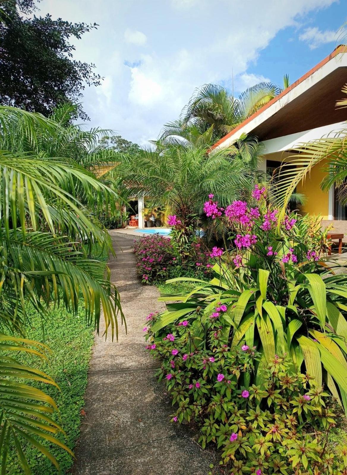 Arenal Villas Tranquilas, Free-Standing Equipped Houses Nuevo Arenal Extérieur photo