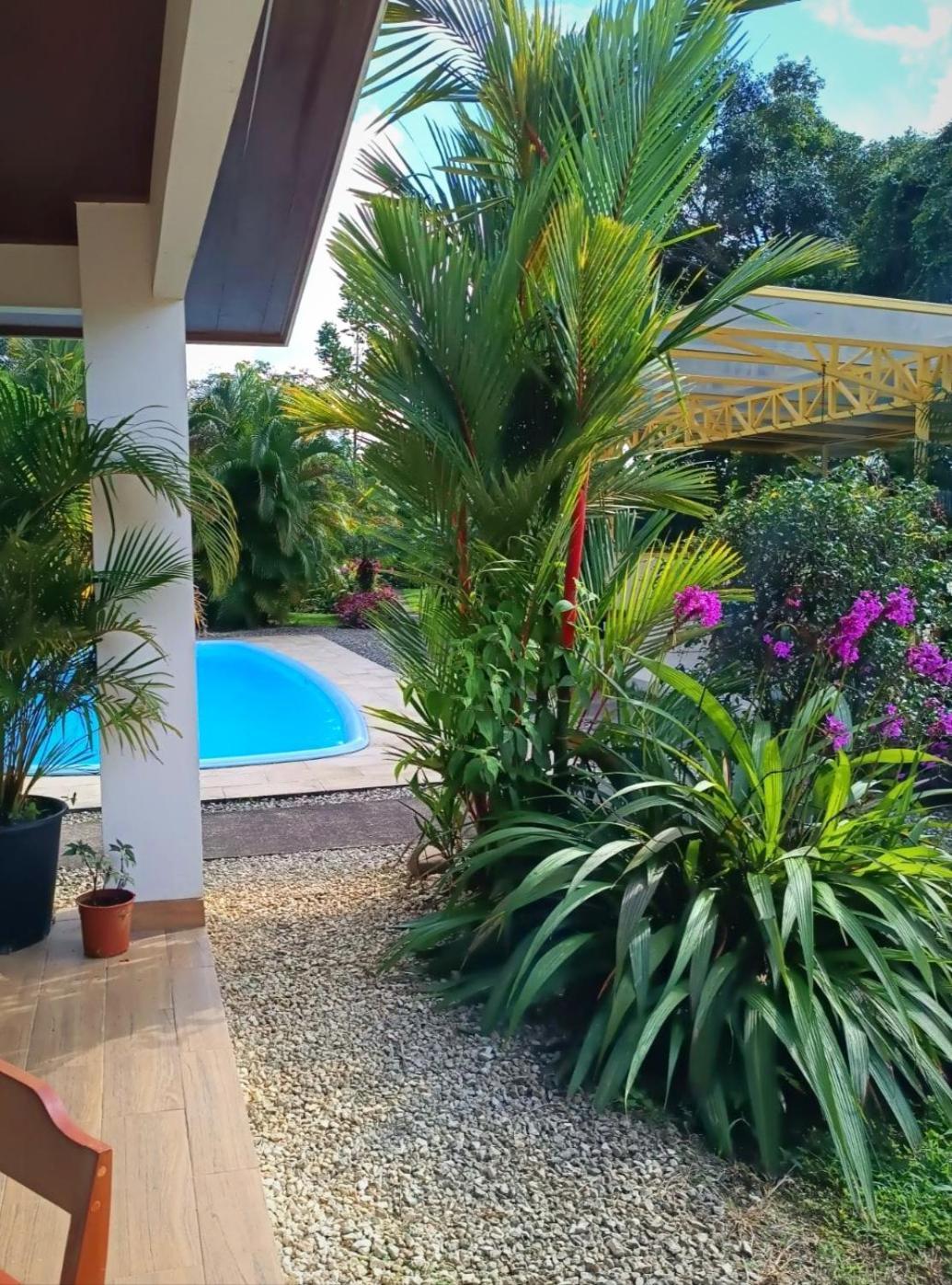 Arenal Villas Tranquilas, Free-Standing Equipped Houses Nuevo Arenal Extérieur photo