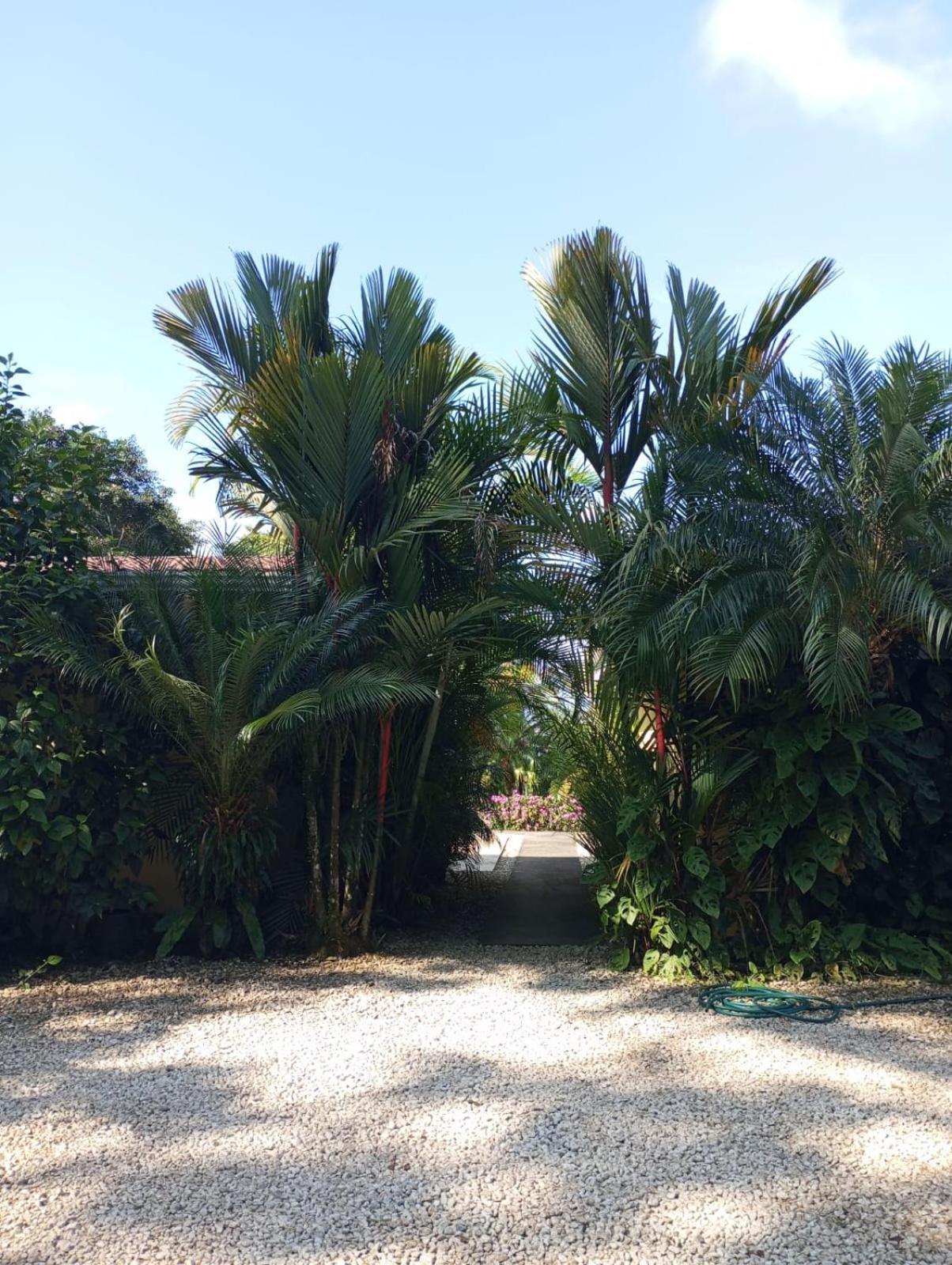 Arenal Villas Tranquilas, Free-Standing Equipped Houses Nuevo Arenal Extérieur photo