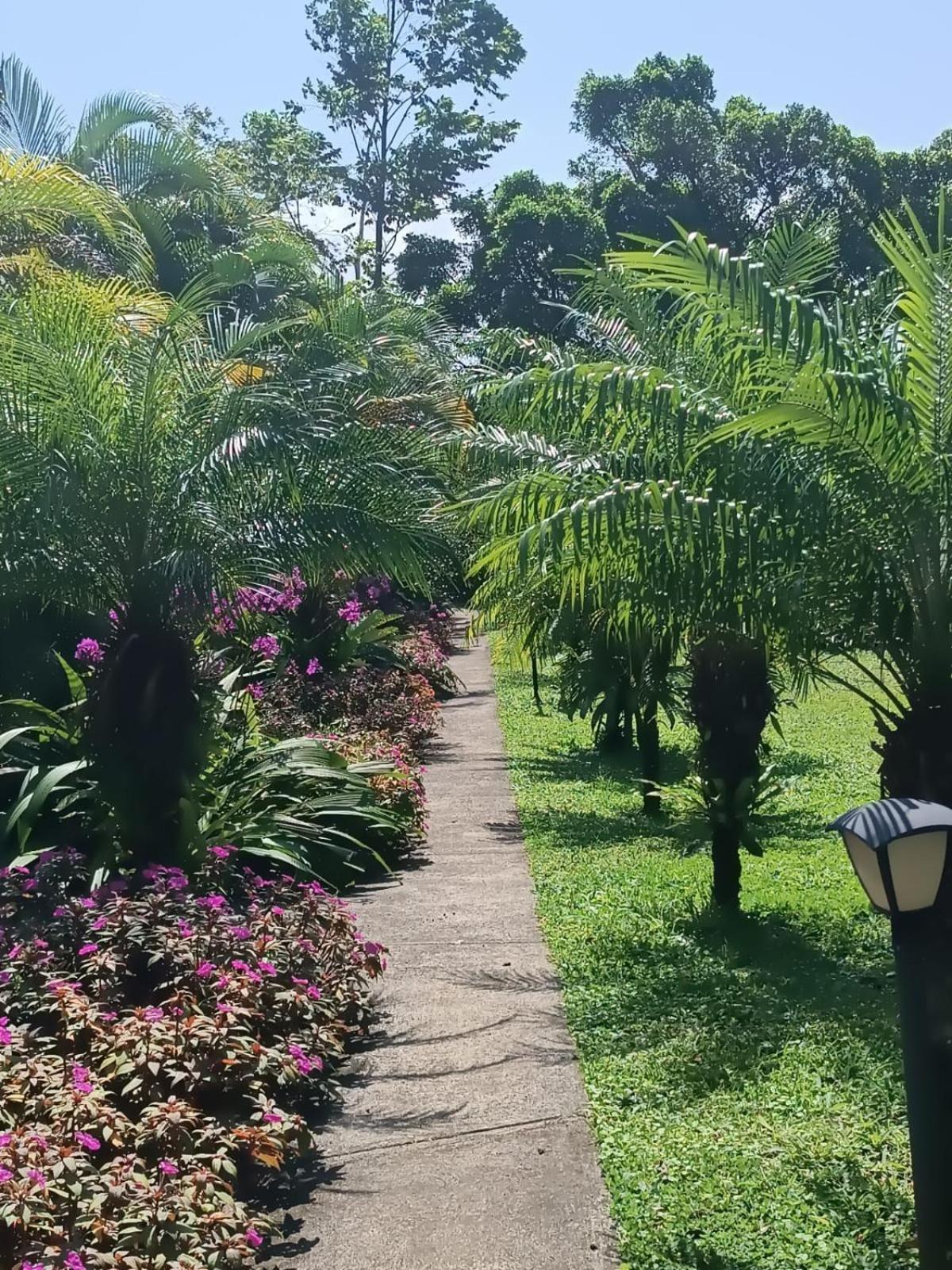 Arenal Villas Tranquilas, Free-Standing Equipped Houses Nuevo Arenal Extérieur photo